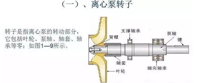 反對(duì)過(guò)度.JPG