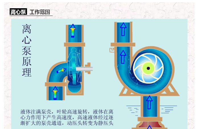 歲的法國.JPG