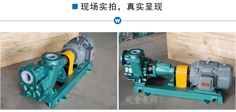 FZB氟塑料自吸泵實景圖.jpg